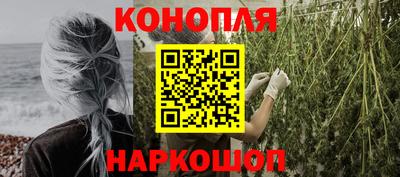 spice Новозыбков