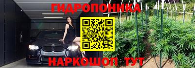 spice Новозыбков